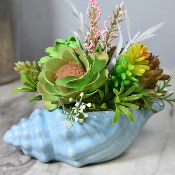 Blue seashell planter fille with sustainable Sola wood airbrushed succulents - - Picture 7 of 7